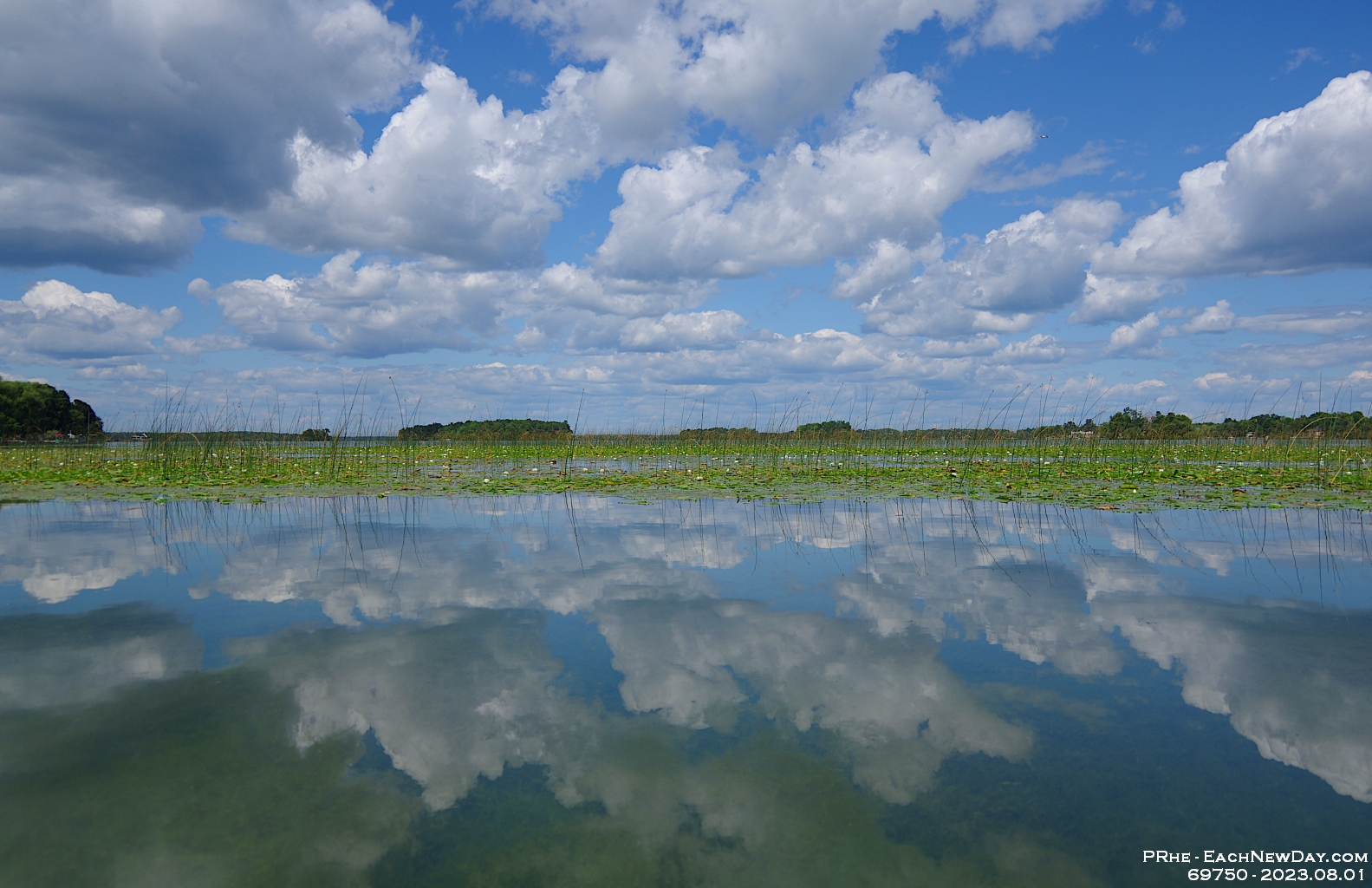 69750RoCrLeUsm - Vacationing at Hammock Harbour - Kayaking from the camp to explore the canals on the Orillia side of Lake Couchiching